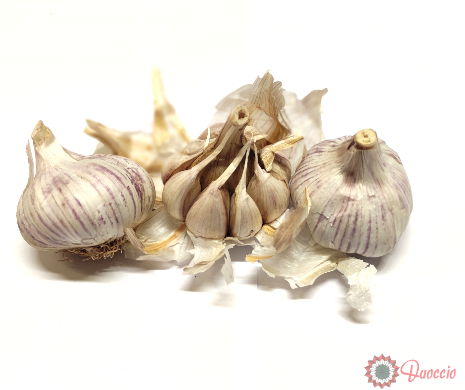 Purple garlic