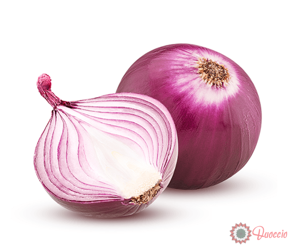 Cipolla rossa Italia Duoccio