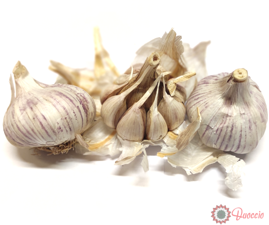 AGLIO VIOLA